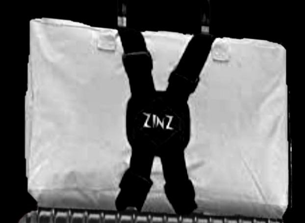 ZINZ Luggage Straps Cintura Elastica Regolabile cinghia valigia Arancia US